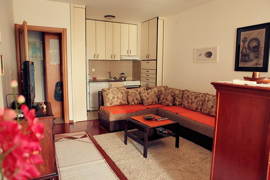 Petrovac Studio Apartment Nika Andusa חדר תמונה