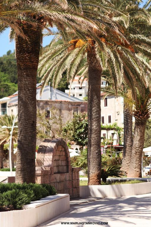 Petrovac Studio Apartment Nika Andusa מראה חיצוני תמונה